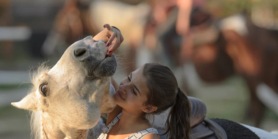 VIDEO | Jasper predstavuje: Jazdecké hodiny na Ranči 4C