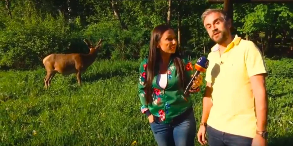 VIDEO | Zľavomatová polícia: #Penzión Teniscentrum v Tatranskej Lomnici