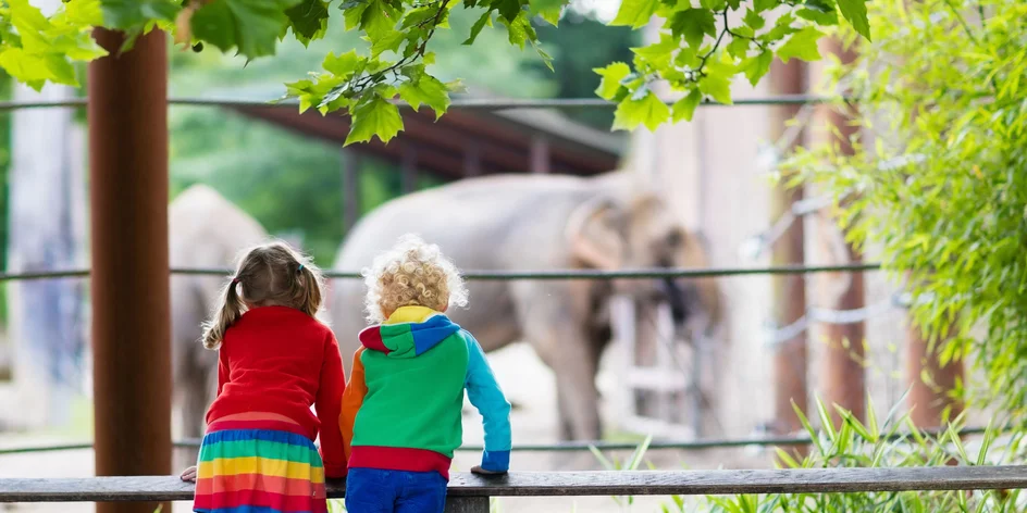 TIP na výlet od mamičky blogerky | ZOO Schönbrunn
