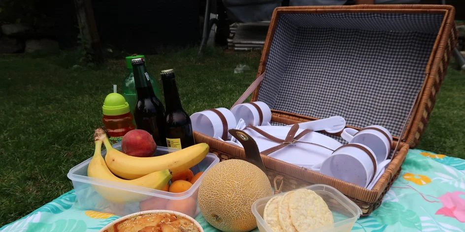 Piknikujem, piknikuješ, piknikujeme