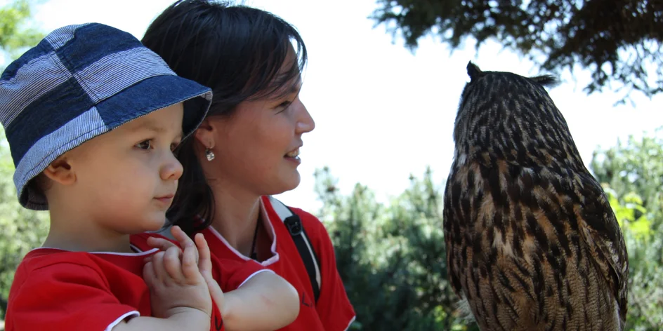 TIP NA VÝLET: Hrad Červený Kameň