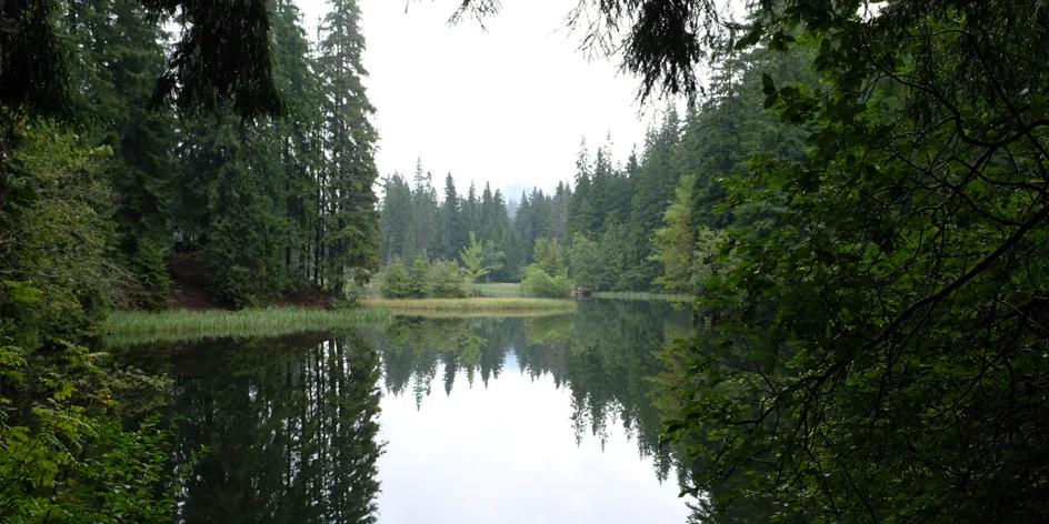 JE TO JASNÉ – na jeseň do Jasnej!