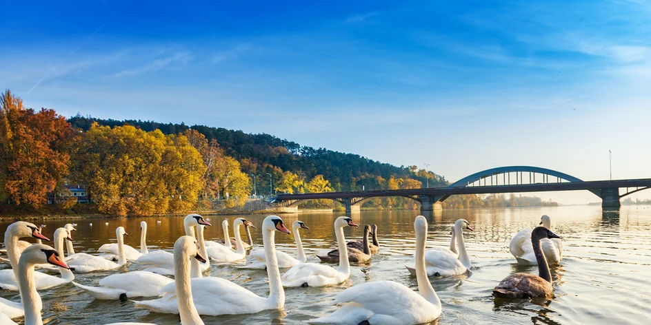 Kúpeľné poklady Slovenska: Piešťany