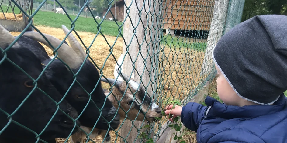 TIP na výlet: Gazdovstvo Uhliská