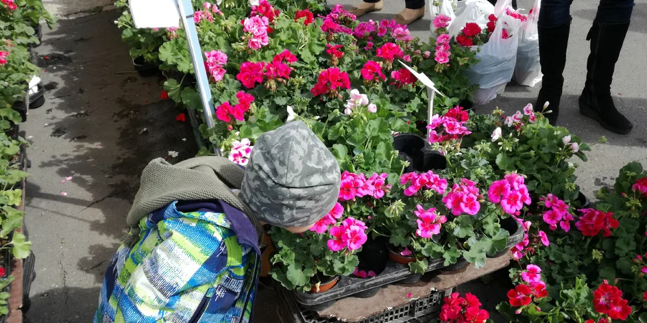 Aká bola FLÓRA – najkrajšia výstava jari