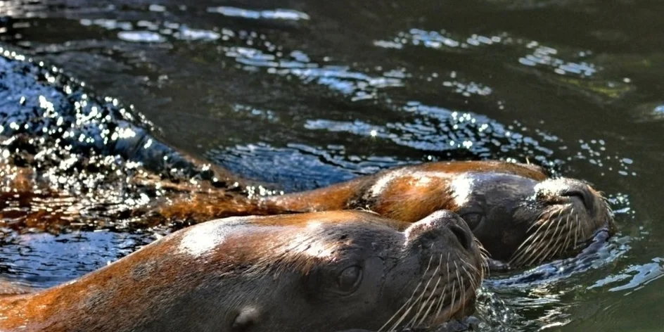 Deň plný zábavy a zvierat v Zlíne – zoo Lešná