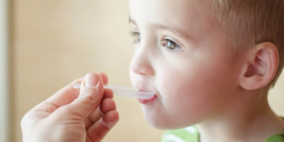 Cesnak, cibuľa, med, zázvor: poklady, ktoré na jeseň vyvážite zlatom