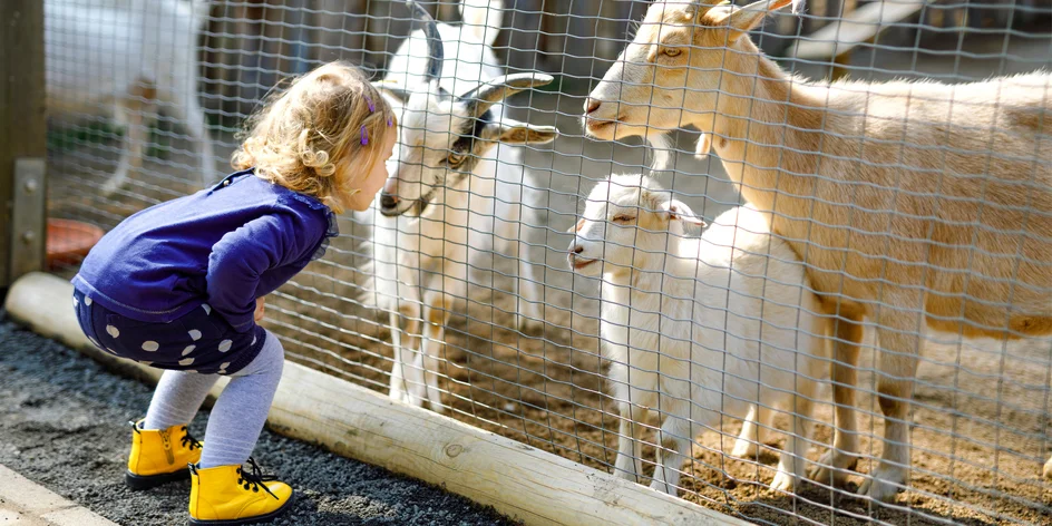 Kam s deťmi cez jesenné prázdniny? 11 tipov pre lenivého rodiča