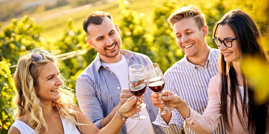 Tokajská oblasť: Spoznajte vyhliadkovú vežu v tvare suda, cyklotrasy a iné perly tohto kraja