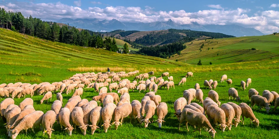 Turistika na Liptove: Ľahšie, ale zaujímavé trasy, ktoré zvládnete aj s deťmi