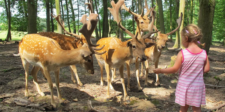 Čo navštíviť s deťmi v Brne a okolí? Vyskladajte si pestrý program s týmito tipmi