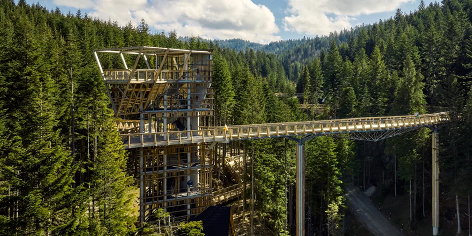 Nová atrakcia Brama w Gorce: Najdlhší chodník korunami stromov v Poľsku aj zábavné vzdelávanie