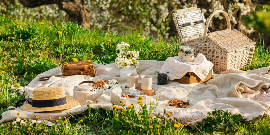 Piknikový kôš, ktorý by vám závidel aj medveď Yogi: kam sa vydať na piknik a čo si so sebou vziať?