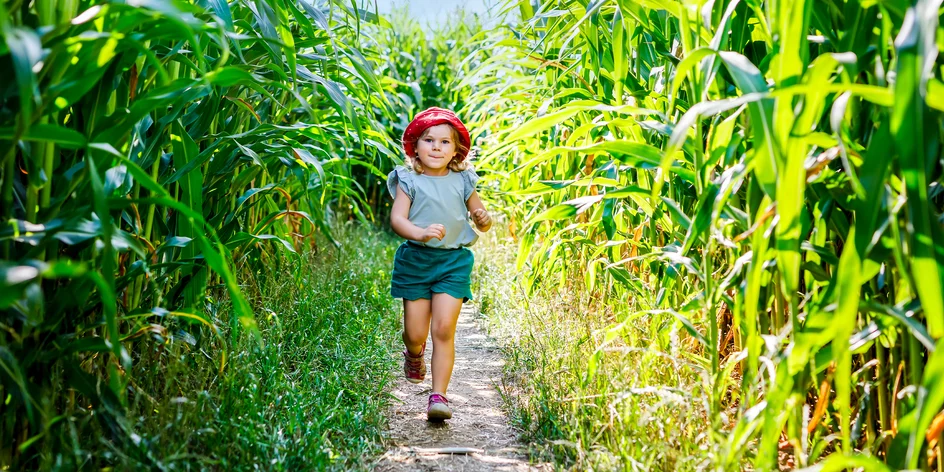 Láka vás spojenie dobrodružstva a čerstvého vzduchu? Navštívte exteriérové bludiská, kde sa zabaví celá rodina