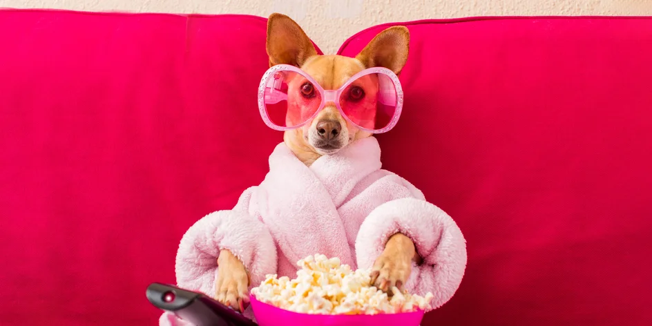 10 dní v karanténe - môj denník