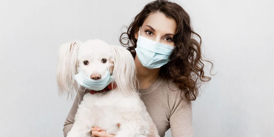 Koronavírus a domáci miláčikovia