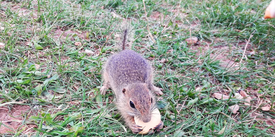 Oáza pokoja ukrytá v lesoch Gemera – Muránska planina a Muránsky hrad