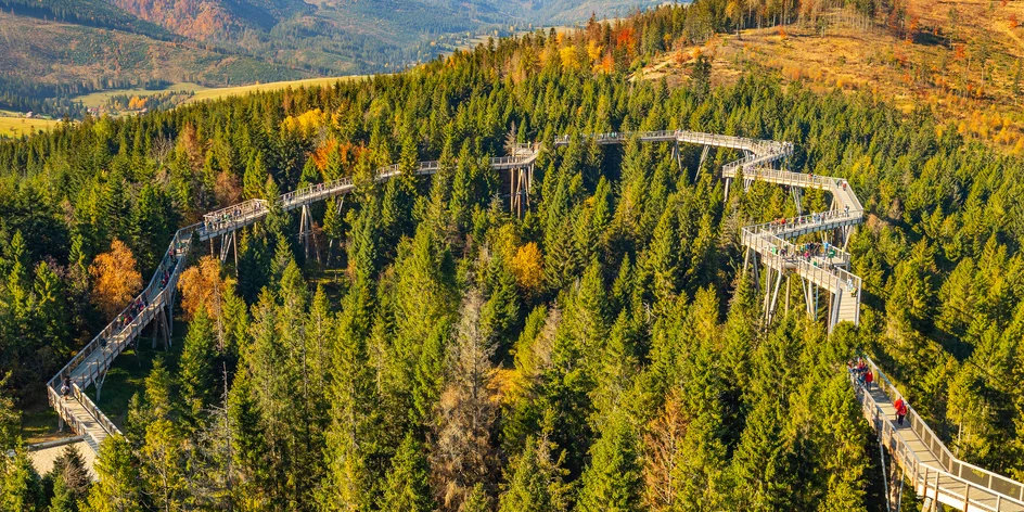 Prechádzka v korunách stromov? Poďte do Bachledky!