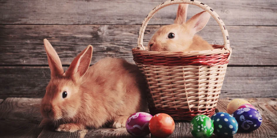 Vždy iný dátum či dni pomenované podľa farieb. Čo ste o Veľkej noci možno nevedeli?