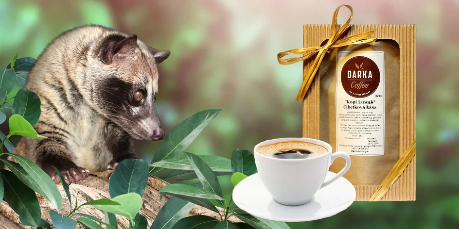 50 - 100 g Vzácna cibetková káva Kopi Luwak v rôznych hrúbkach mletia