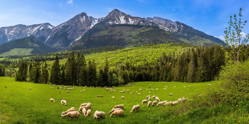 Belianske Tatry: Turistika bez davov, jedinečné miesta aj atrakcie pre deti