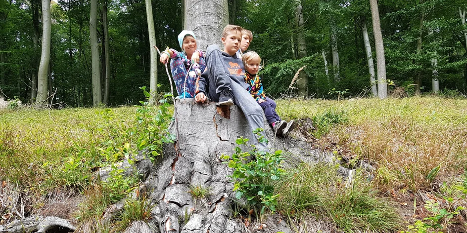 Mamička blogerka radí: Spoznávame malé Karpaty