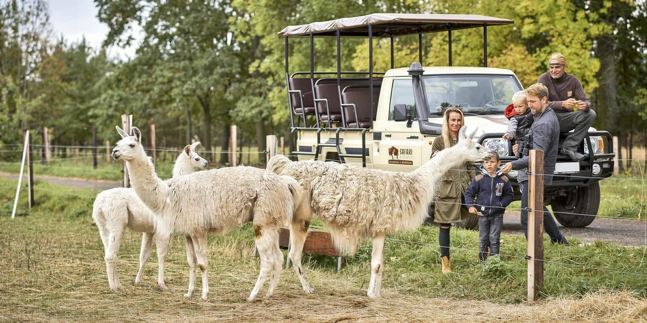 Návštěva Safari Resortu a mazlení s lamou až pro 4 os.