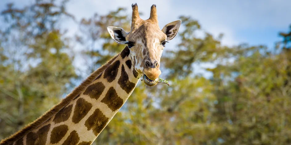 Budapešť s návštevou ZOO a akvária Tropicarium