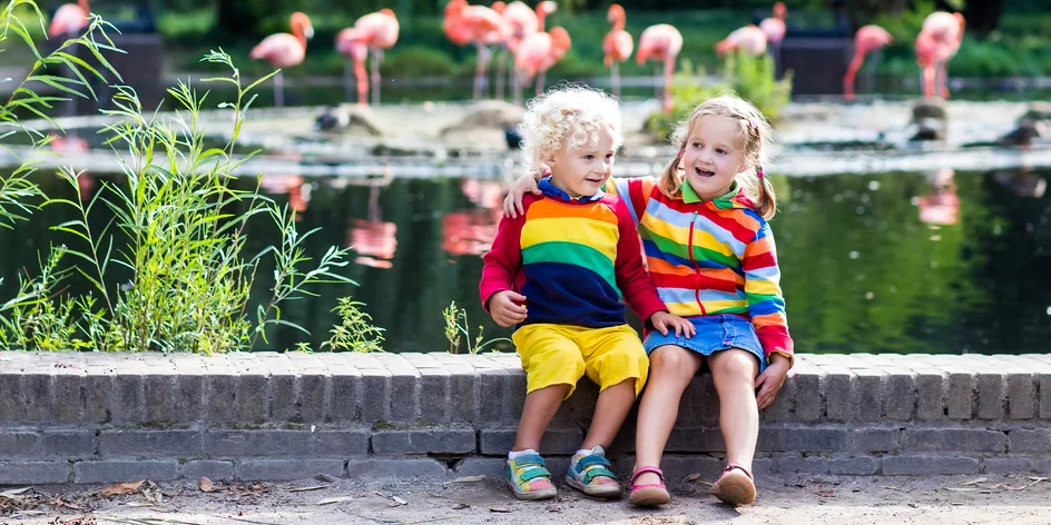 Toto je 15 najkrajších ZOO na Slovensku a v blízkom okolí: Navštívili ste už všetky?