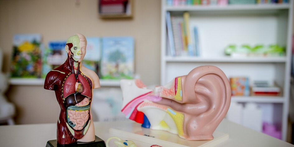 Co skrývá lidský trup a ucho? EDU otestovala dětská lékařka