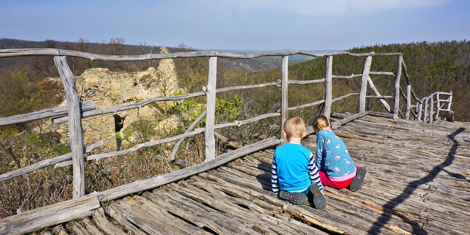Kam s dětmi na výlet? 13 tipů na procházku lesem v okolí Brna