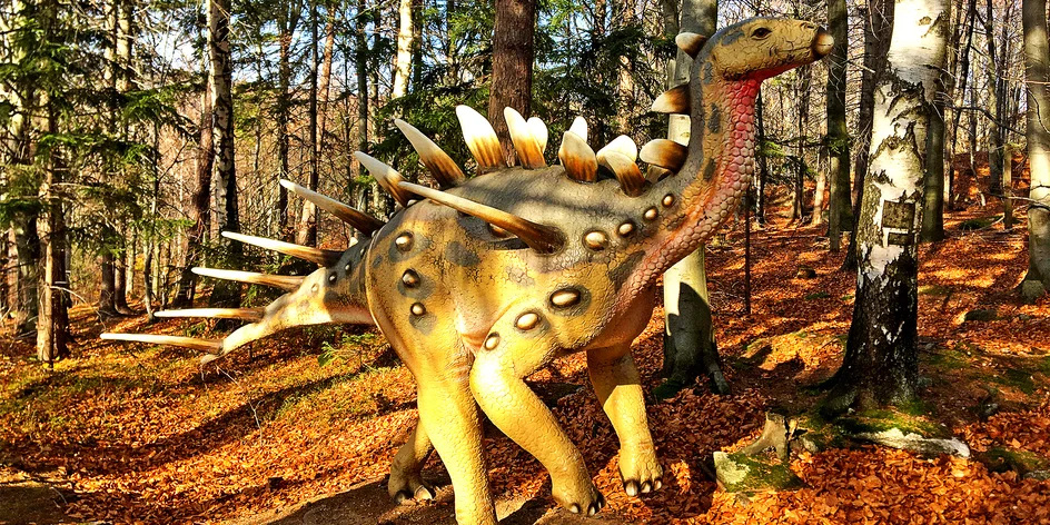Jak si užít Krkonoše s dětmi? Les dinosaurů i sestup k vodopádu v přilbě