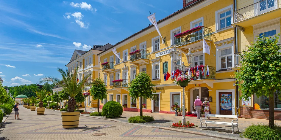 Františkovy Lázně se snídaní a wellness