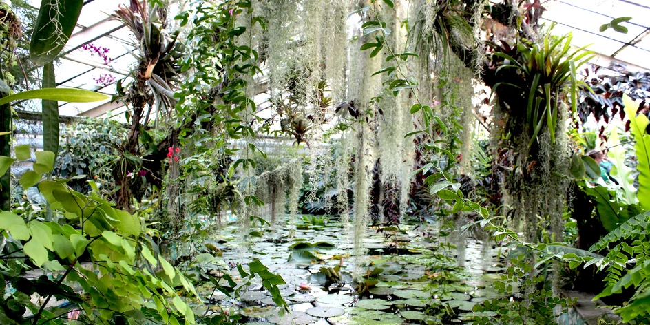 Najkrajšie slovenské botanické záhrady a arboréta