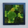 Hranatý obraz s rôznymi druhmi machov ručne vyrobený na Slovensku (čierna) | Rozmer: 30 x 30 cm