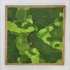 Hranatý obraz s rôznymi druhmi machov ručne vyrobený na Slovensku | Rozmer: 30 x 30 cm | Hnedá