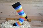 Barevné ponožky "Rainbow" | Velikost: 36-40
