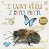 Z larvy včela, z kukly motýl