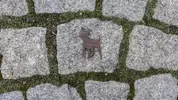 Pražský krysařík