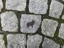 Šeltie