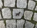 Anglický kokršpaněl