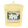 Yankee Candle Tabákový květ, 49 g