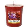 Yankee Candle Živoucí šafrán, 49 g