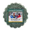 Yankee Candle Nabalte se (22 g)