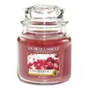 Yankee Candle Brusinky na ledu, 410 g