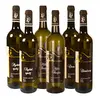 2x Müller Thurgau, 2x Ryzlink Rýnský, 2x Chardonnay