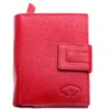 508 red gazelo | Červená