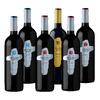 Set 6 lahví čtyř typů červeného vína