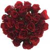 Kytice 21 růží Valentino (40 cm) | Červená