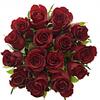 Kytice 15 růží Valentino (40 cm) | Červená